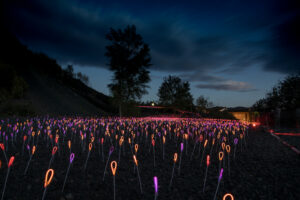 44104028340_9af3b20f1f_k